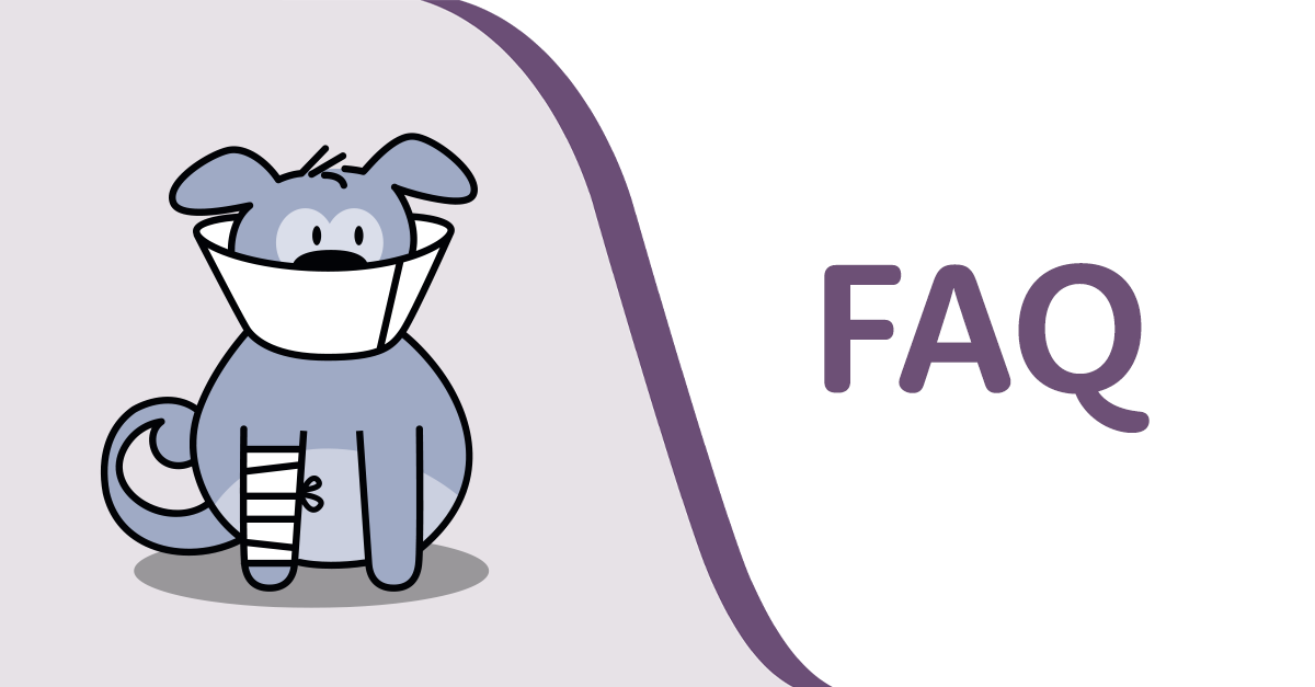 FAQs Questions About Pet Insurance Answered Furkin